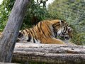 ZOO-Viden 24 srpen 2014 036.JPG